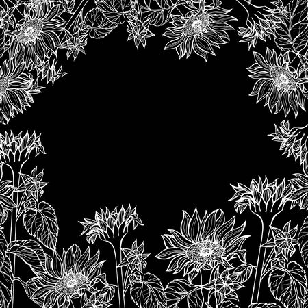card with sunflowers frame pattern black backgroundの写真素材