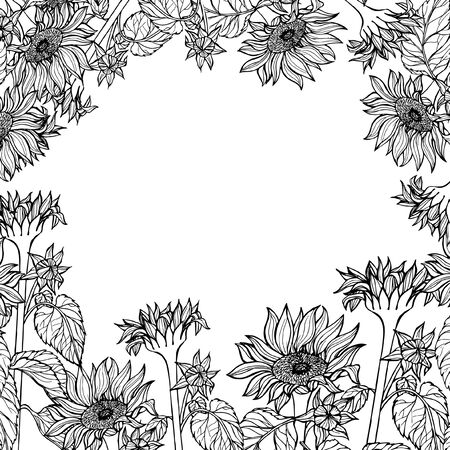 pattern card with sunflowers frame white backgroundの写真素材