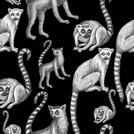 lemurs pattern drawing silhouette tropical animals isolate object black background primacyの写真素材