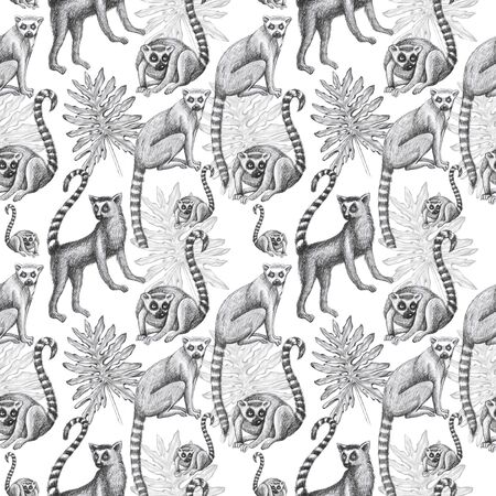 lemurs pattern drawing silhouette tropical animals isolate object white background primacyの写真素材