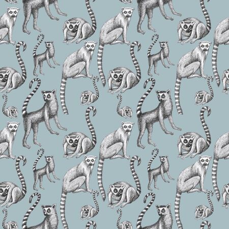 lemurs pattern drawing silhouette tropical animals isolate object gray background primacyの写真素材