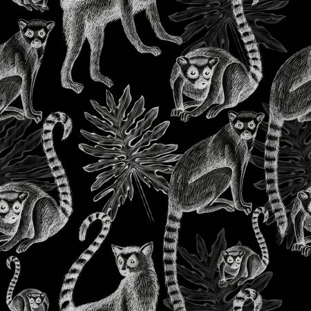 lemurs pattern drawing silhouette tropical animals isolate object black background primacyの写真素材