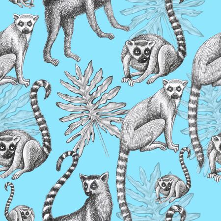 lemurs pattern drawing silhouette tropical animals isolate object blue background primacyの写真素材