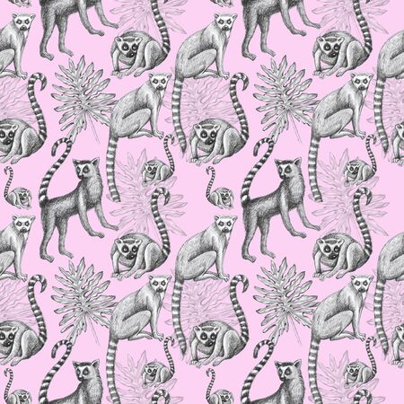 lemurs pattern drawing silhouette tropical animals isolate object pink background primacyの写真素材