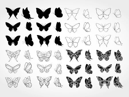 Vector set of butterfliesのイラスト素材