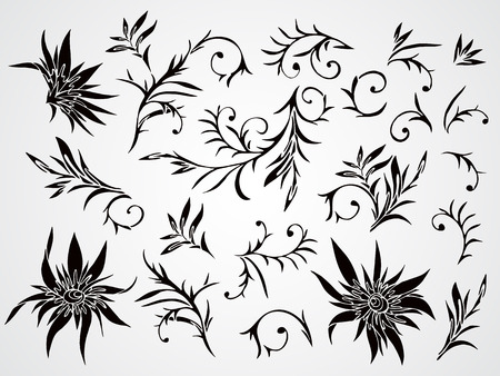 Vector set of black silhouettes hand drawn flowers, branches and leaves.のイラスト素材