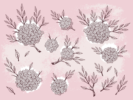 Vector set of hand drawn flowers, branches and leaves with textured watercolor elements. In pink colors.のイラスト素材