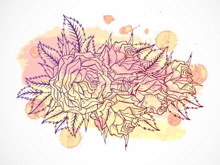 Vector set of hand drawn roses and leaves. Maroon contour on a pink and yellow background with textured watercolor elements. Gradient used.のイラスト素材