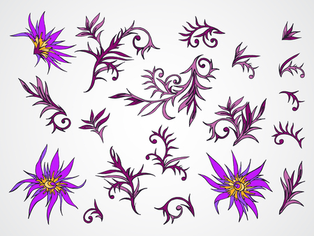 Vector set of hand drawn flowers, branches and leaves. In violet colors.のイラスト素材