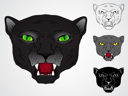 Vector set of panthers  heads: contour, silhouette, color, realistic. Roaring panther.のイラスト素材