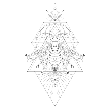 Vector illustration with hand drawn wasp and Sacred geometric symbol on white background. Abstract mystic sign. Black linear shape. For you design: tattoo, print, posters, t-shirts, textiles and magic craft.のイラスト素材