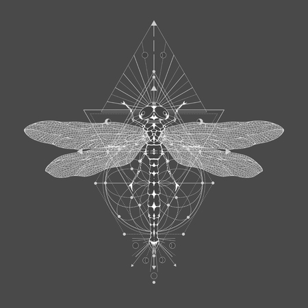 Vector illustration with hand drawn dragonfly and Sacred geometric symbol on black vintage background. Abstract mystic sign. White linear shape. For you design: tattoo, print, posters, t-shirts, textiles and other.のイラスト素材