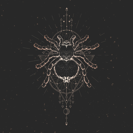 Vector illustration with hand drawn spider and Sacred geometric symbol on black vintage background. Abstract mystic sign. Gold linear shape. For you design: tattoo, print, posters, t-shirts, textiles and other.のイラスト素材