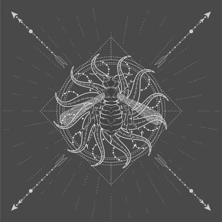 Vector illustration with hand drawn Wasp and Sacred symbol Sun on black background. Abstract mystic sign. White linear shape. For you design, tattoo or magic craft.のイラスト素材