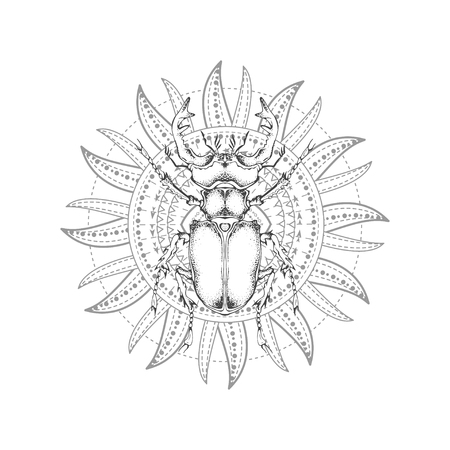 Vector illustration with hand drawn stag beetle and Sacred geometric symbol on white background. Abstract mystic sign. Black linear shape. For you design, tattoo or magic craft.のイラスト素材