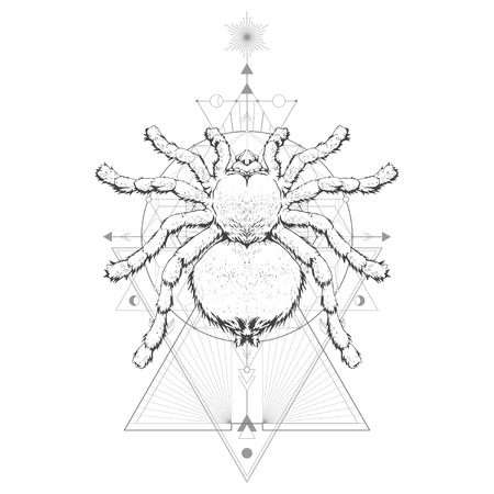 Vector illustration with hand drawn spider tarantula and Sacred geometric symbol on white background. Abstract mystic sign. Black linear shape. For you design: tattoo, print, posters, t-shirts, textiles and magic craft.のイラスト素材