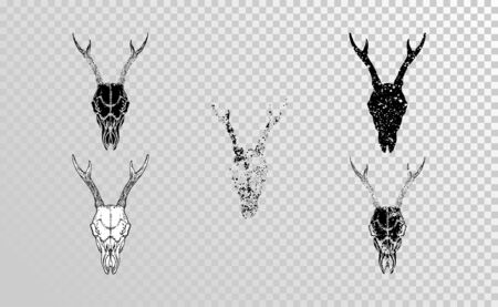 Vector set of hand drawn skulls roe deer with grunge elements in different versions on a transparent background. Monochrome. For you design, tattoo or magic craft.のイラスト素材