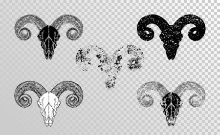Vector set of hand drawn skulls wild ram with grunge elements in different versions on a transparent background. Monochrome. For you design, tattoo or magic craft.のイラスト素材