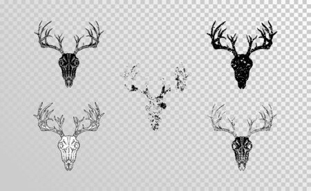 Vector set of hand drawn skulls deer with grunge elements in different versions on a transparent background. Monochrome. For you design, tattoo or magic craft.のイラスト素材
