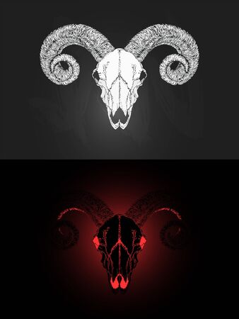 Vector illustration with two variants of hand drawn ram skull on dark background. In realistic style. For you design, tattoo or magic craft.のイラスト素材