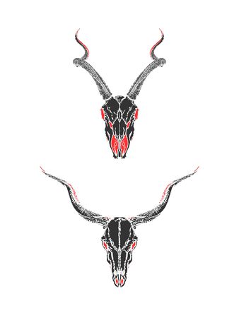 illustration with hand drawn skulls of antelopes on white background. Black and red silhouettes. In realistic style. For you design, tattoo or magic craft.のイラスト素材