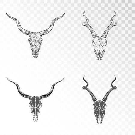 Vector set of hand drawn skulls antelopes on transparent background. Black silhouettes and contour with grunge texture. For you design, print, tattoo or magic craft.のイラスト素材