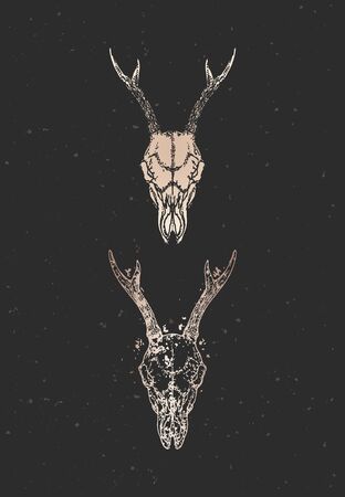 illustration with two variants of hand drawn roe deer skulls on black background. Gold silhouettes and contour with grunge texture. For you design, print, tattoo or magic craft.のイラスト素材