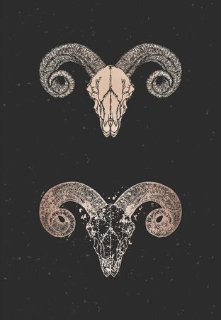 Vector illustration with two variants of hand drawn wild ram skulls on black background. Gold silhouettes and contour with grunge texture. For you design, print, tattoo or magic craft.のイラスト素材