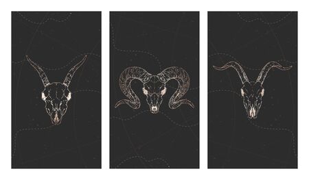 Vector set of three illustrations with gold skulls goats, ram and grunge elements on black background. For you design, print, tattoo or magic craft.のイラスト素材