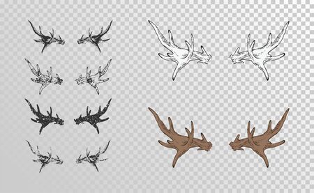 Vector set of hand drawn horns moose with grunge elements in different versions on a transparent background. Monochrome and color variation. For you design, tattoo or magic craft.のイラスト素材