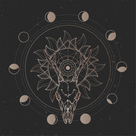Vector illustration with hand drawn Roe deer skull and Sacred geometric symbol on black vintage background. Abstract mystic sign. Gold linear shape. For you design and magic craft.のイラスト素材