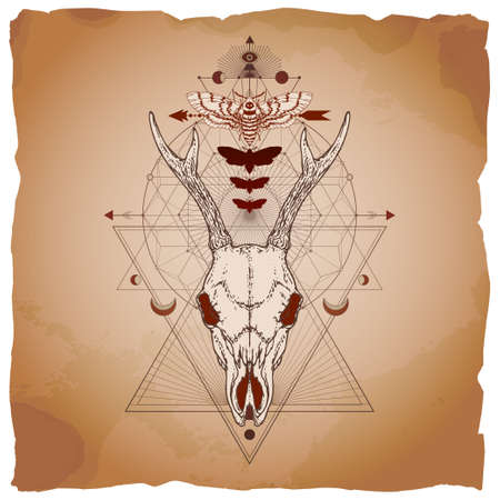 Vector illustration with hand drawn roe deer skull, dead head moth and Sacred geometric symbol on vintage paper background with torn edges. Abstract mystic sign. Image in sepia and red color.のイラスト素材