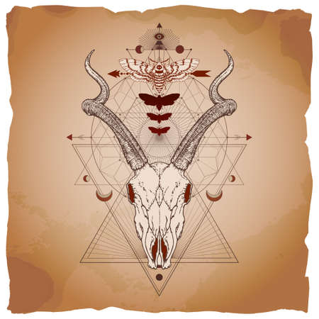 Vector illustration with hand drawn antelope skull, dead head moth and Sacred geometric symbol on vintage paper background with torn edges. Abstract mystic sign. Image in sepia and red color.のイラスト素材