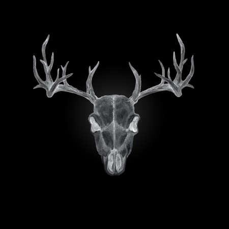 Watercolor illustration with a deer skull on a black background. Monochrome image.の写真素材