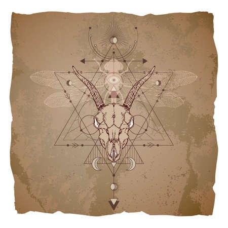 Illustration with hand drawn goat skull, dragonfly and Sacred geometric symbol on vintage paper background with torn edges. Abstract mystical sign. Image in sepia color.の写真素材