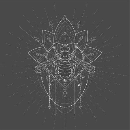 Vector illustration with hand drawn Wasp and Sacred geometric symbol on black background. Abstract mystical sign. White linear shape. For you design, tattoo or magic craft.のイラスト素材