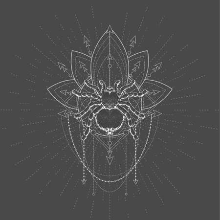 Vector illustration with hand drawn Spider Tarantula and Sacred symbol LOTUS on black background. Abstract mystical sign. White linear shape.のイラスト素材