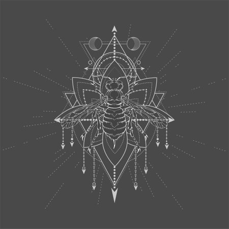 Vector illustration with hand drawn Wasp and Sacred geometric symbol on black background. Abstract mystical sign. White linear shape. For you design, tattoo or magic craft.のイラスト素材