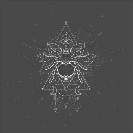 Vector illustration with hand drawn Spider Tarantula and Sacred symbol LOTUS on black background. Abstract mystical sign. White linear shape. For you design, tattoo or magic craft.のイラスト素材