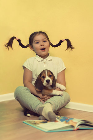 little girl is hugging puppy beagle outdoorsの写真素材