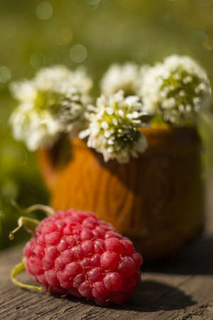 Juicy raspberries lie next to a small mugの写真素材