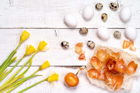 Easter eggs painted with natural dye, onion husk on a white wooden background and yellow spring...
