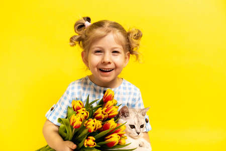 a small blonde girl on a yellow background with a bouquet of red tulips in her hands, smiling. holiday concept.の写真素材