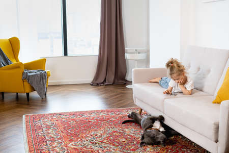 Little blonde girl with a smartphone lies on the sofa at home, on the floor sleeps a big dog, life at home.の写真素材