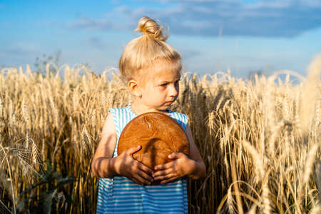 a little blonde girl in a rye field, a happy child with a rye round bread, not looking at the camera.の写真素材