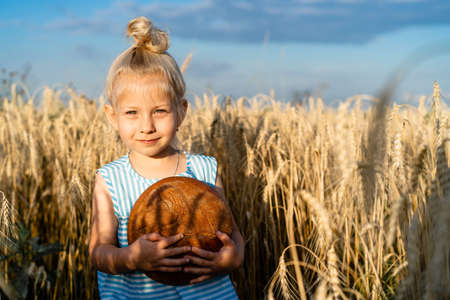 a little blonde girl in a rye field, a happy child with a rye round bread.