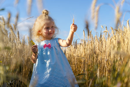 a little blonde girl in a rye field, a happy childの写真素材
