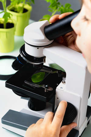 close-up microscope and plant study, increasing and studying nature, vertical photo