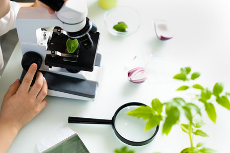 close-up microscope and plant study, increasing and studying natureの写真素材