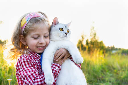 a little girl with a big white Scottish straight-eared cat in her arms, love for animalsの写真素材